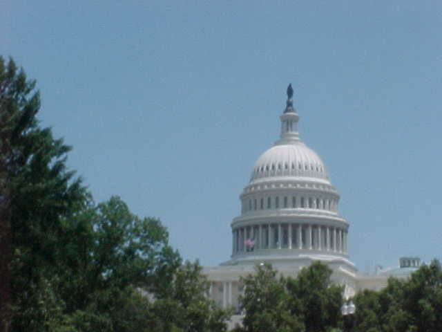 The Capitol Building's dome stickin' out of some trees.