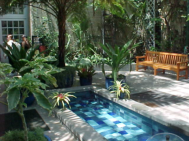 A pretty indoor garden. Kinda like a greenhouse.