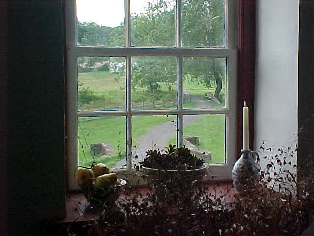 A small window with a small bridge over a small creek by a small tree.