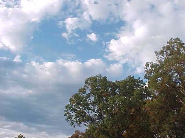 Half a tree in the corner, and some clouds for the rest.